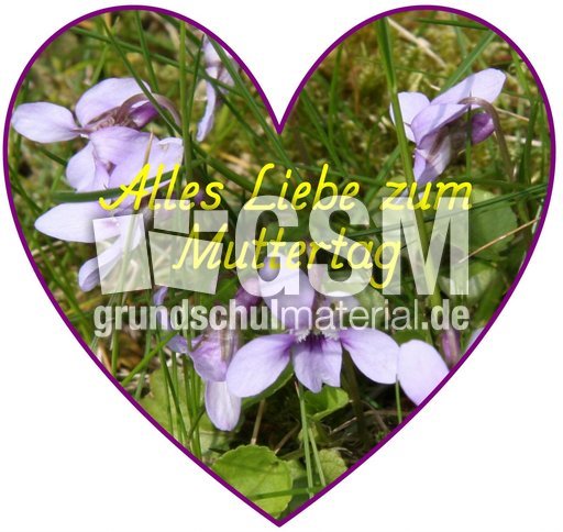 Herz-Foto-Muttertag_36.jpg